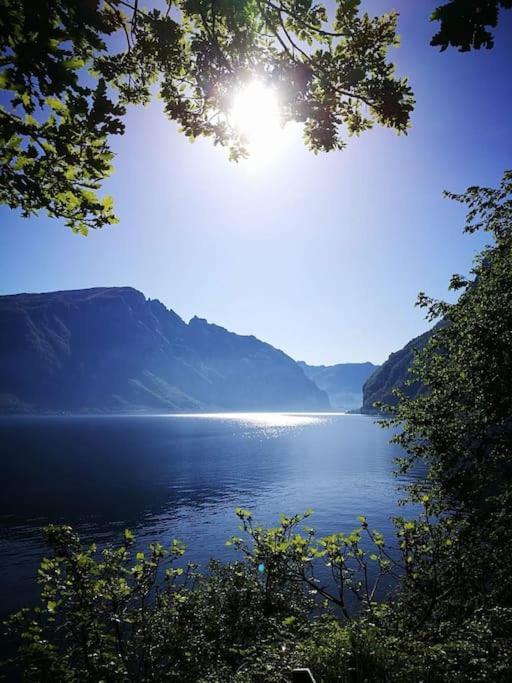 Apartament Casa Da Ste Mandello del Lario Zewnętrze zdjęcie